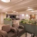 Palmin 4*